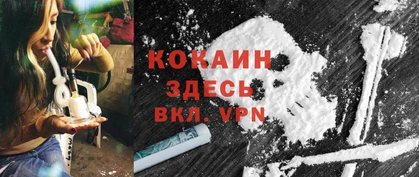 хмурый Абаза