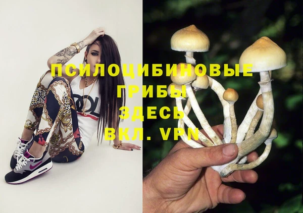 хмурый Абаза