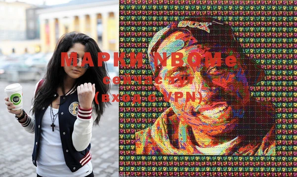 хмурый Абаза