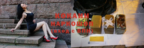 хмурый Абаза