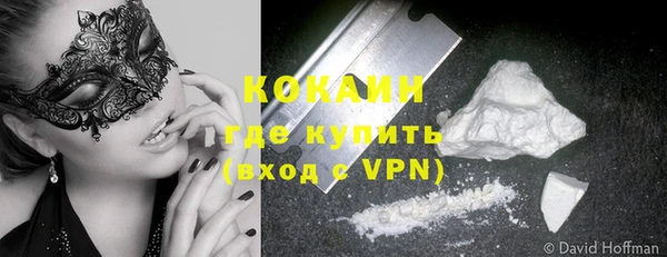 хмурый Абаза